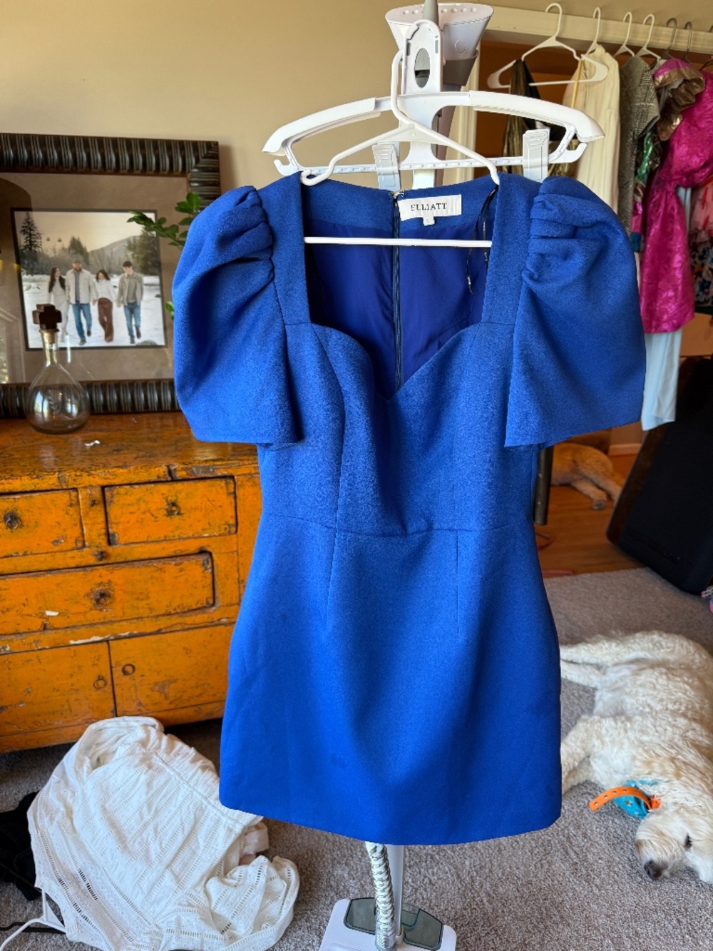 Elliatt Cobalt Blue Mini Dress 💙